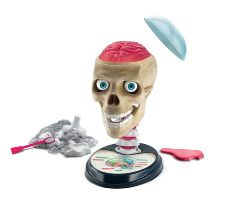 Przejdź do produktu Naukowa Zabawa Zestaw Zwariowana Anatomia Język Polski Clementoni 50697