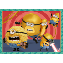26366_3.png