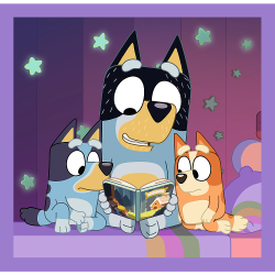28224_2.png