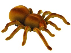 10385_6.jpg