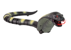 12435_3.png