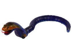 12435_6.jpg
