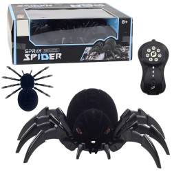 24395_1.jpg