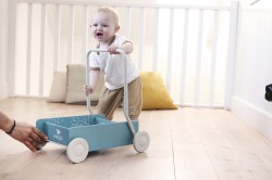 I-10221600-Micki-Baby-Walker-Blue-2-jpg.jpg