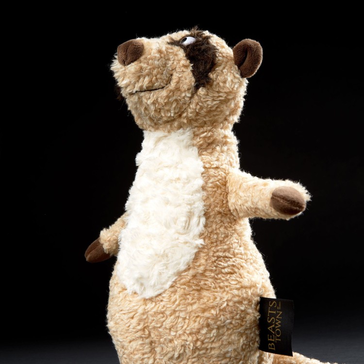 6846f601b14cf-muru-muru-meerkat-beaststown.jpeg