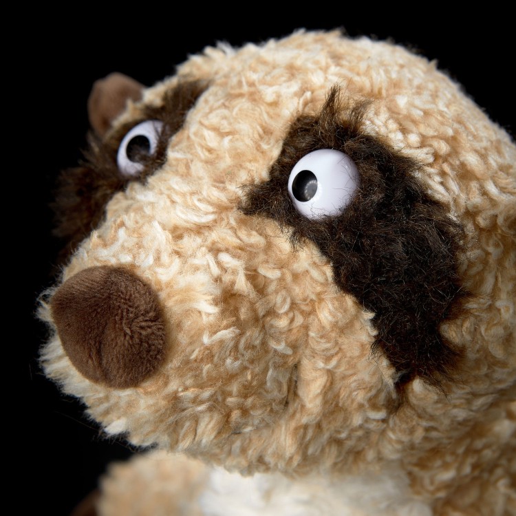 6846f601b1dd4-muru-muru-meerkat-beaststown.jpeg