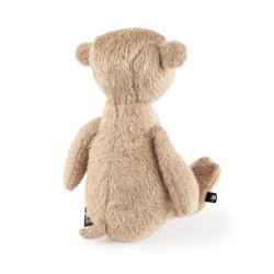 6846ef0dd799e-original-bear-ach-good.jpeg