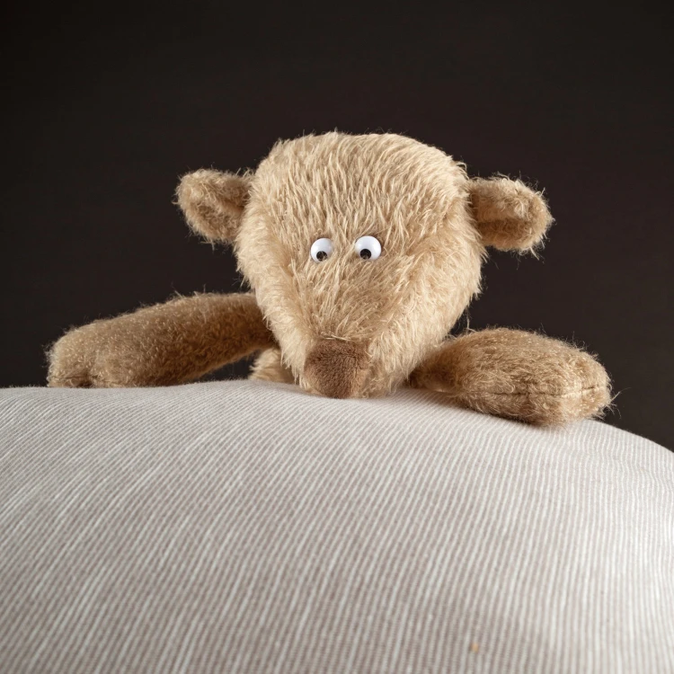 6846ef0ddac00-original-bear-ach-good.jpeg