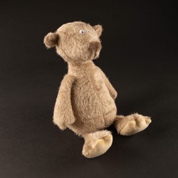 6846ef0ddb4dc-original-bear-ach-good.jpeg