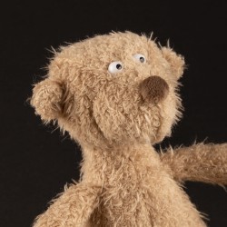 6846ef463a738-bear-beige-small-ach-good.jpeg
