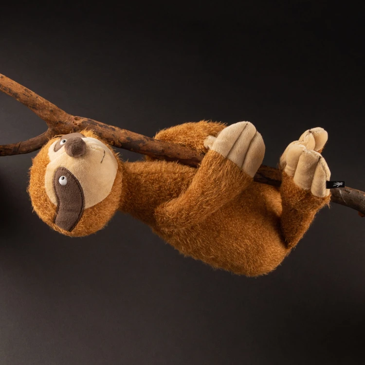 6846efd2d3344-sloth-ach-good.jpeg