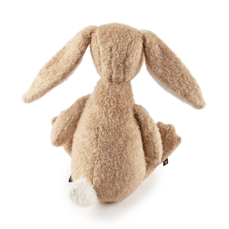 6846f07e3d603-rabbit-ach-good.jpeg