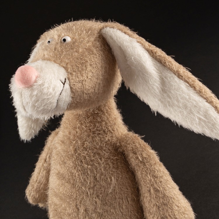 6846f07e4018b-rabbit-ach-good.jpeg