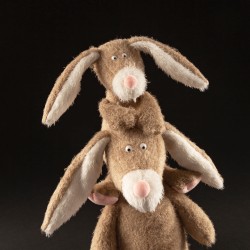 6846f07e4137c-rabbit-ach-good.jpeg