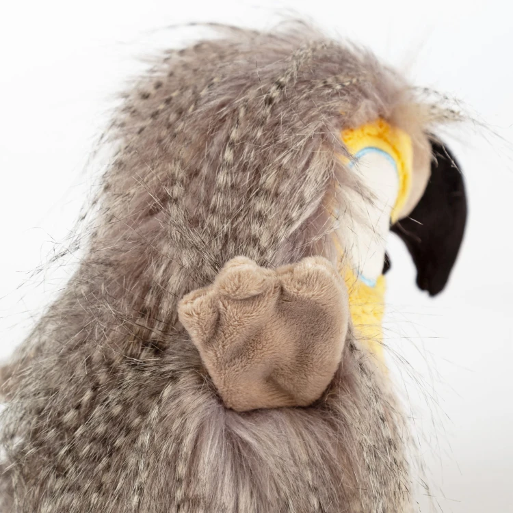 6846f15c4dfcf-coco-coocoo-toucan-kikeriki.jpeg