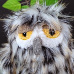 6846f17a970b7-lady-hooray-owl-kikeriki.jpeg