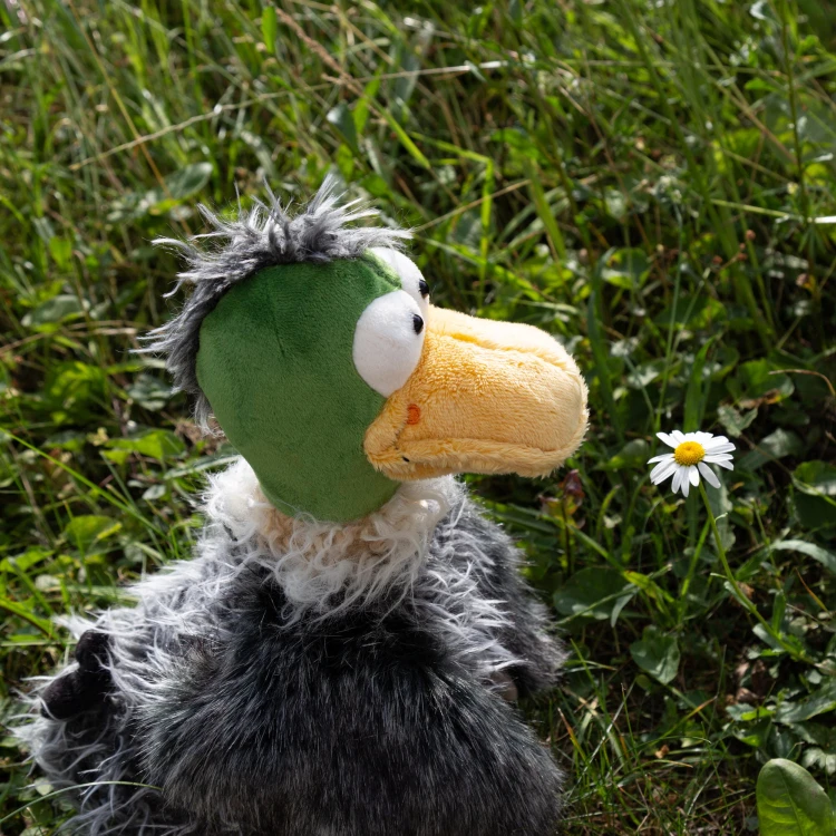 6846f1d4010fc-gacko-gack-duck-kikeriki.jpeg