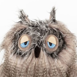 6846f2f826c87-miss-night-owl-kikeriki.jpeg