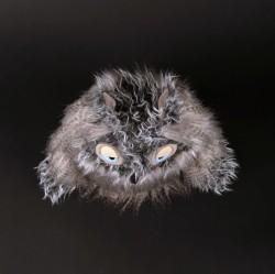 6846f2f82b247-miss-night-owl-kikeriki.jpeg