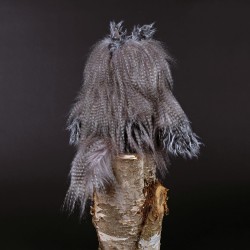 6846f2f82ba43-miss-night-owl-kikeriki.jpeg