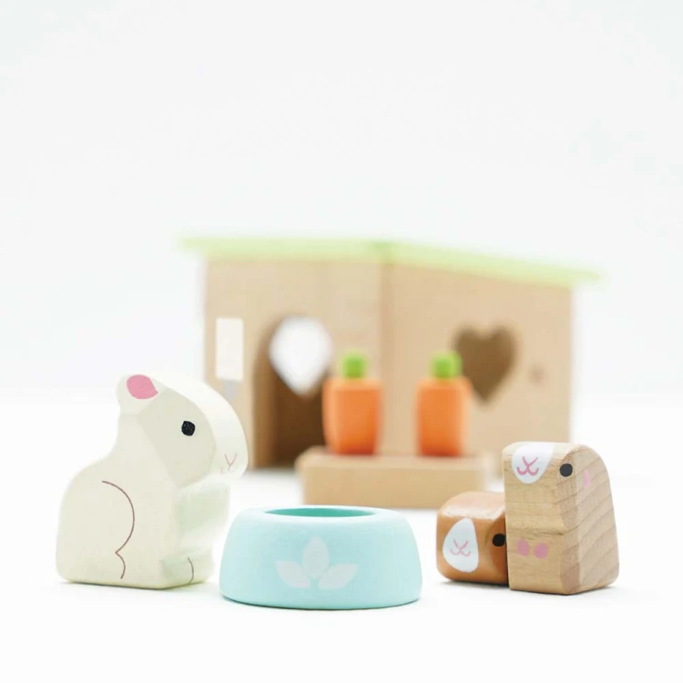 ME045-bunny-and-guinea-sitting-infront-of-hutch.jpg