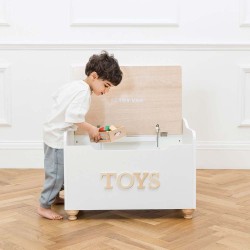 TV606-toy-chest-putting-crate-inside.jpg