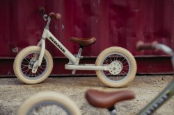 Trybike-matt-2024-12-.jpg