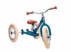 Trybike-3-wheeler-matt-blue-3-.jpg