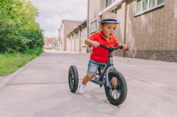 Trybike-223.jpg