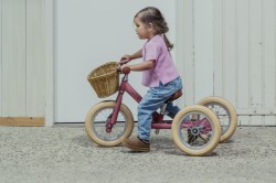 Trybike-2024-matt-171-.jpg