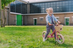 Trybike-236.jpg