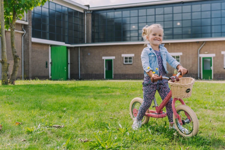 Trybike-236.jpg