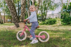 Trybike-130.jpg