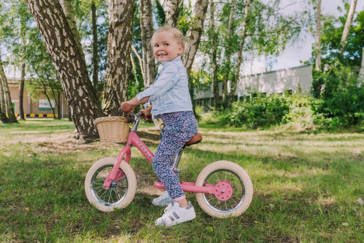 Trybike-130.jpg