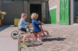Trybike-65.jpg