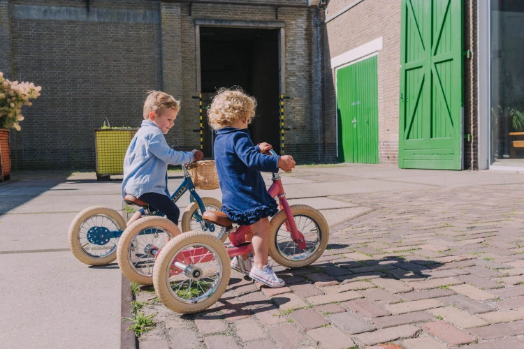 Trybike-65.jpg