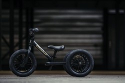 Trybike-2024-matt-33-.jpg