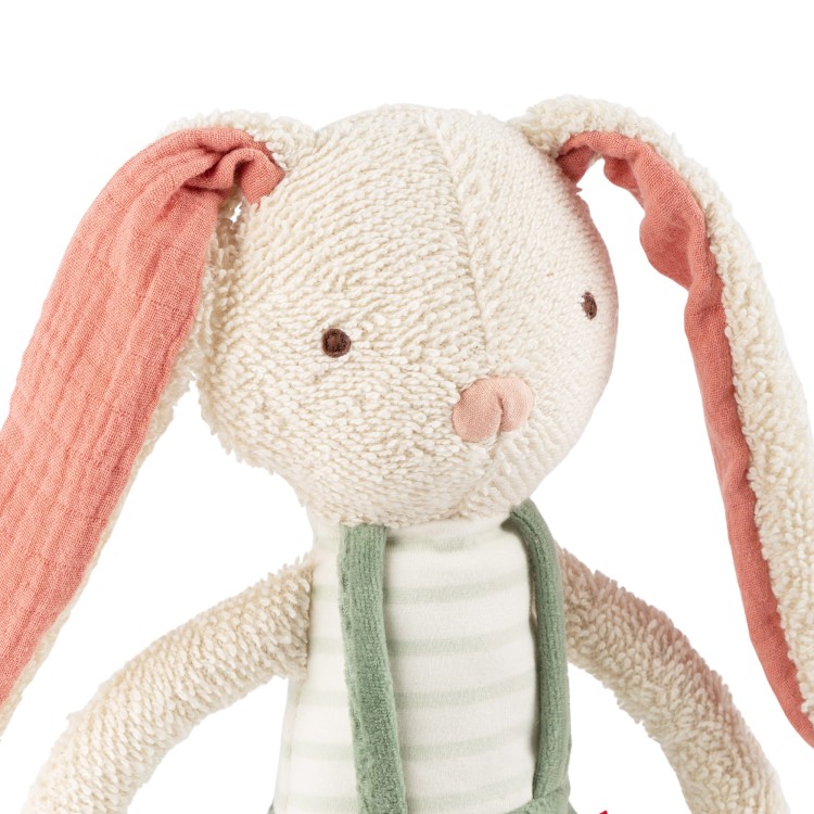 6846e9a2d1fca-cuddling-rabbit.jpeg