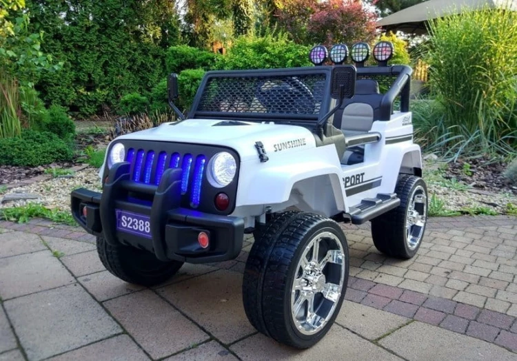 6587_3.jpg