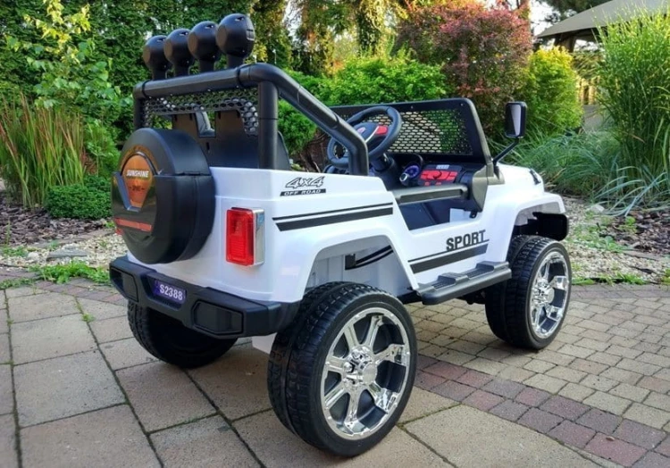6587_5.jpg
