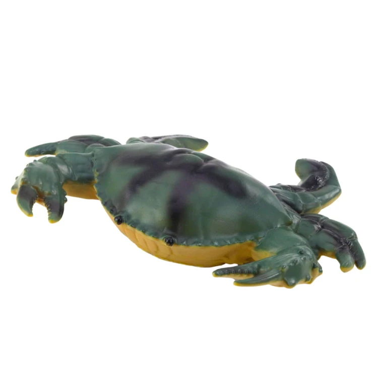 23337_6.jpg