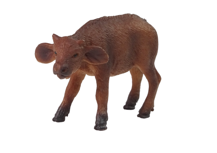 12316_3.png