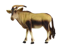 12348_2.png