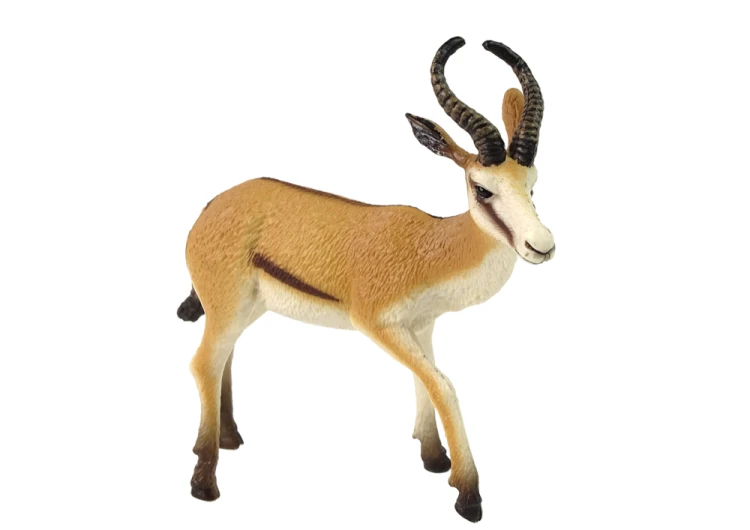 12305_2.png