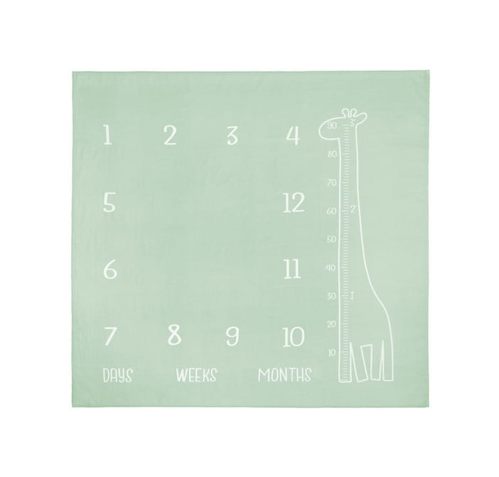 product-11559.jpg