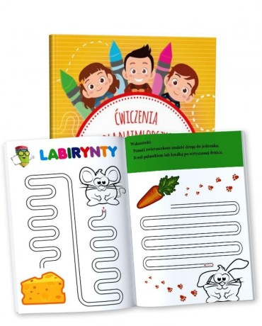 Przejdź do produktu Zestaw Ćwiczeń Rozwojowych do Grafomotoryki