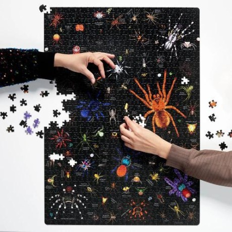Przejdź do produktu Puzzlove CzuCzu Pająki 1000el
