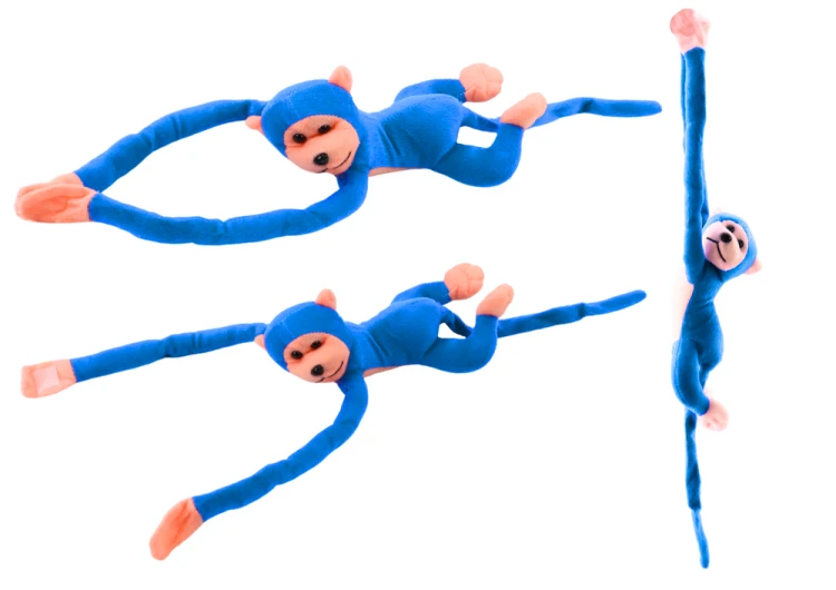 16815_1.png
