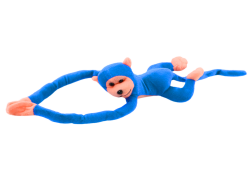 16815_2.png