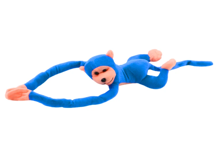 16815_2.png